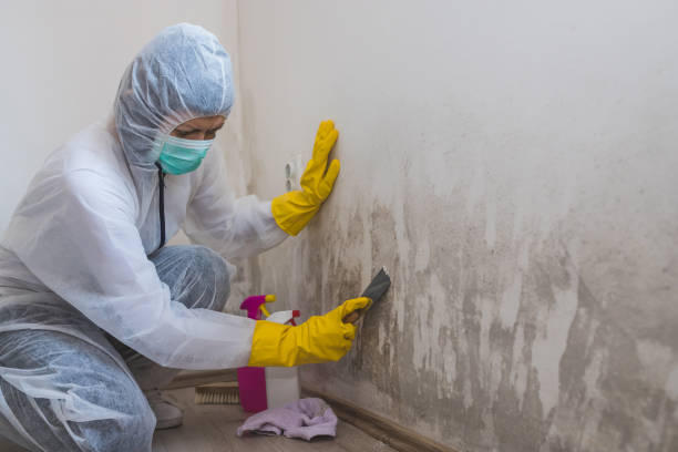 Best Airborne Mold Testing  in Cairo, NE