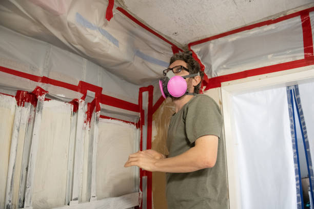 Best Post-Construction Mold Inspection  in Cairo, NE